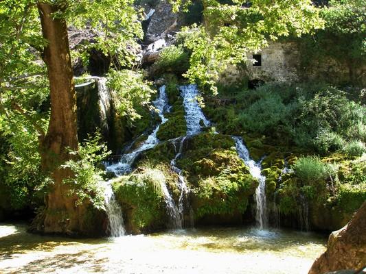 Potamia, Souli<br>Η φύση έχει ντύσει πανέμορφα τους παλαιούς νερόμυλους, κάτω από το ηρωικό χωριό Σούλι, στην Θεσπρωτία. - by spidrman 