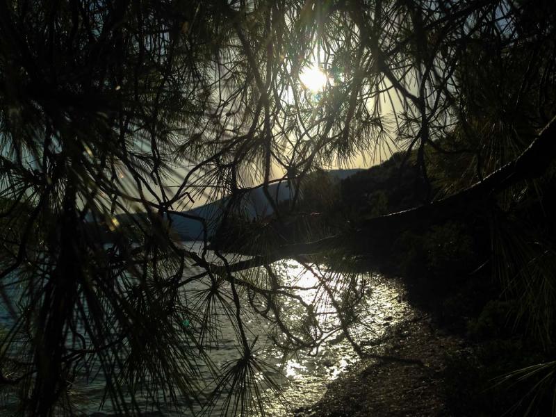 Ithaca Island Skinos beach   The sun through the trees! - by adampao 
