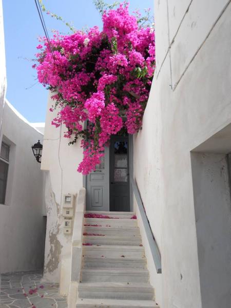Naxos Town, Naxos,    