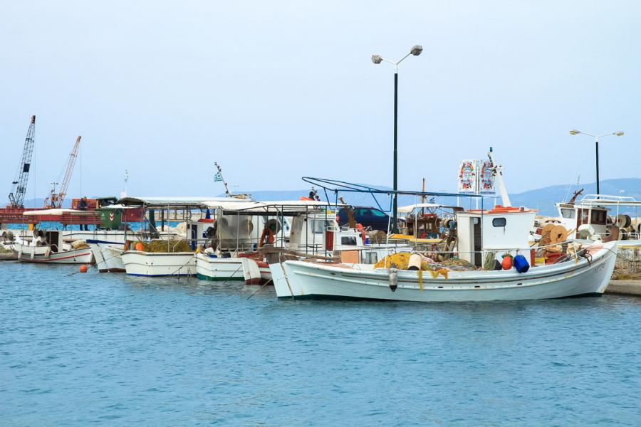 Fishing boats in the Marina. - by  