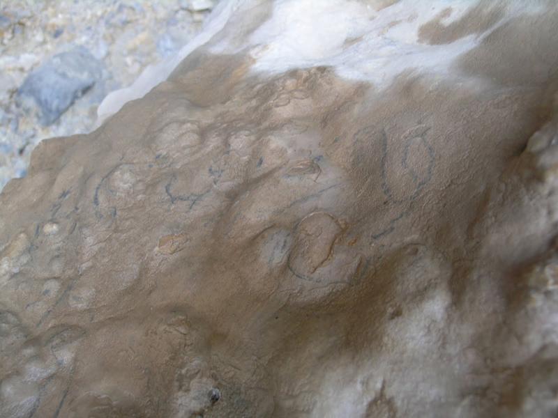 Photo of the drawings in Vernofeto cave.
Photo by www.pervolakia.blogspot.gr
